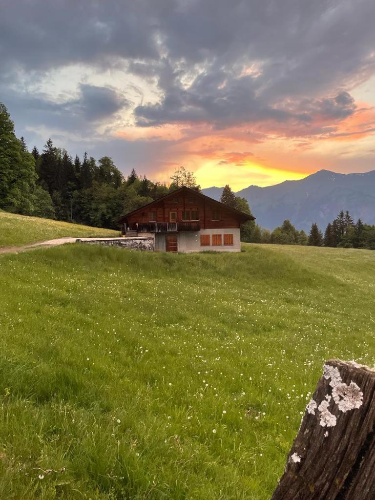 Ferienwohnung Chalet mit Alpenambiente Axalp Brienz  Exterior foto